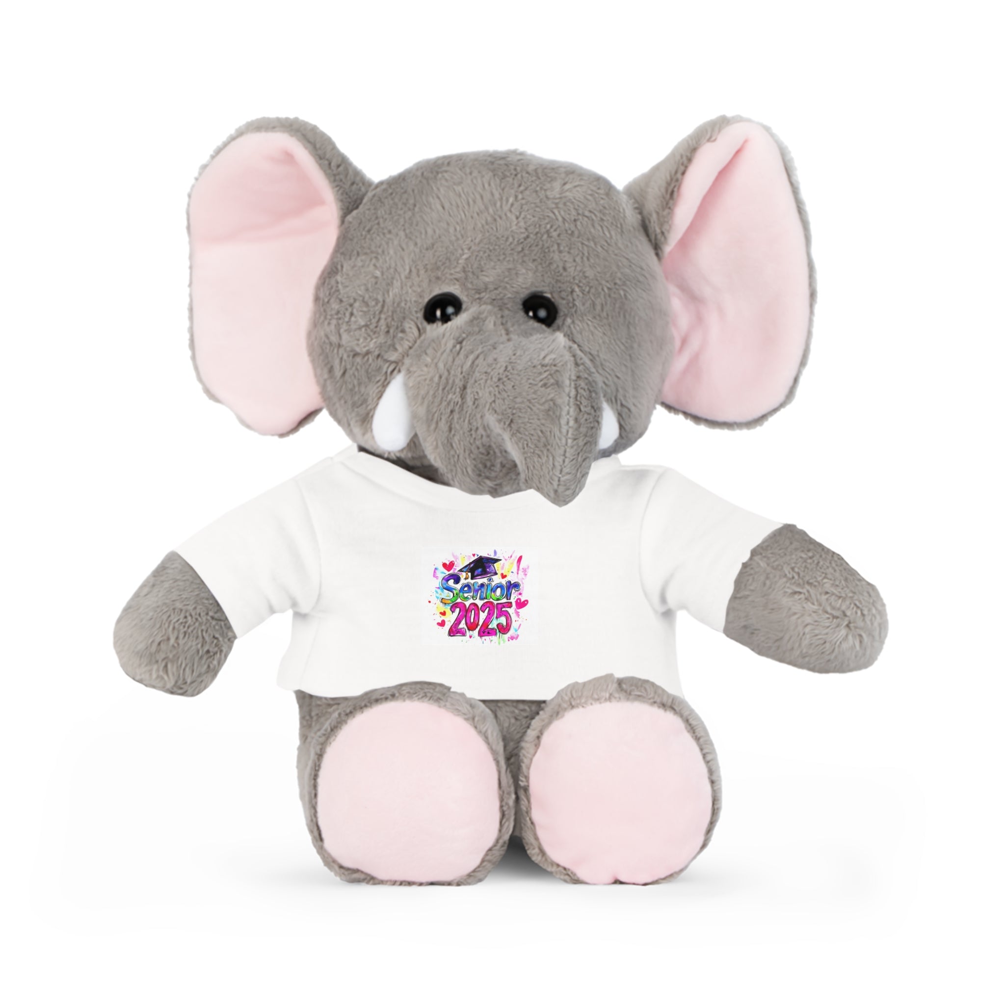 Graduation Plush Toy with Custom T-Shirt - 2025 Celebration Bear