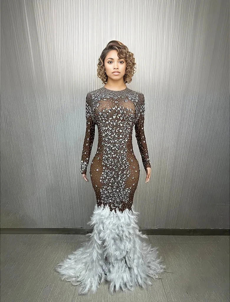 Sparkling Me Transparent Feather Long Dress - ShopEbonyMonique