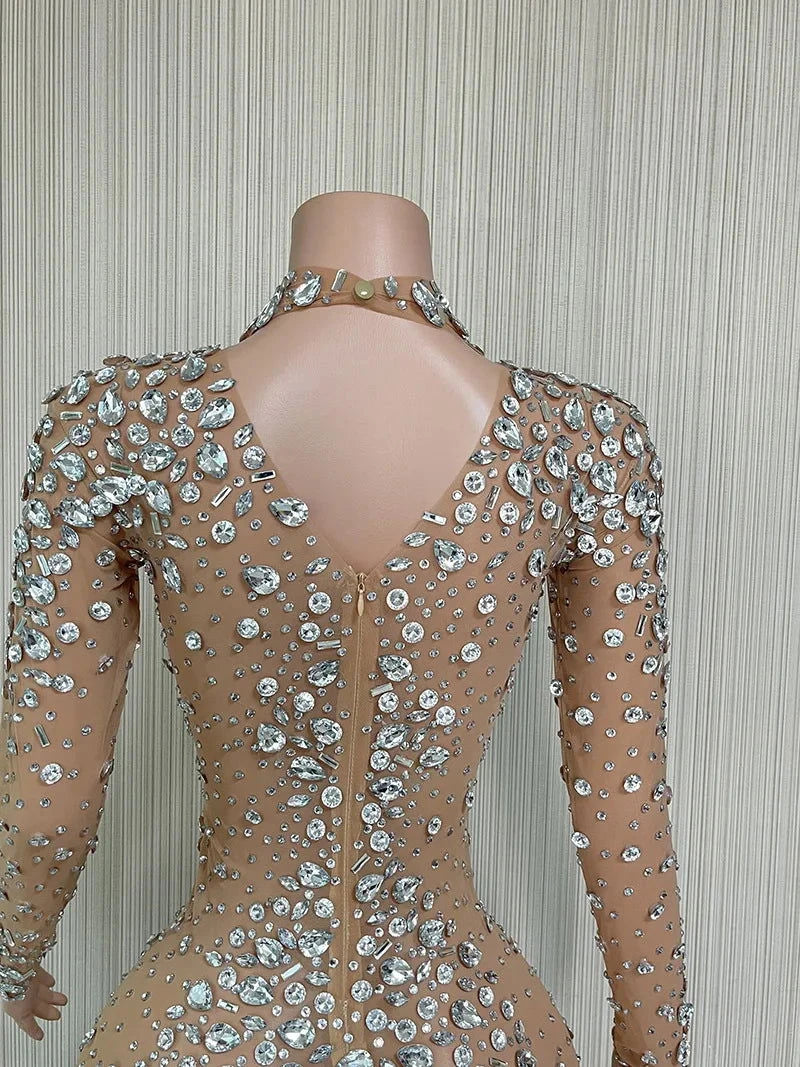 Sparkling Me Transparent Feather Long Dress - ShopEbonyMonique