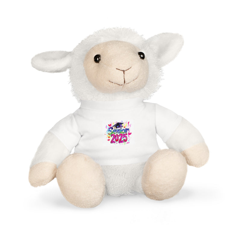 Graduation Plush Toy with Custom T-Shirt - 2025 Celebration Bear