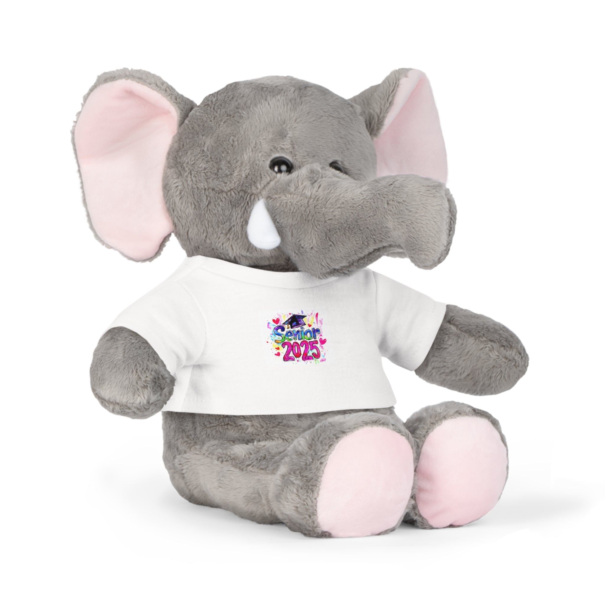 Graduation Plush Toy with Custom T-Shirt - 2025 Celebration Bear