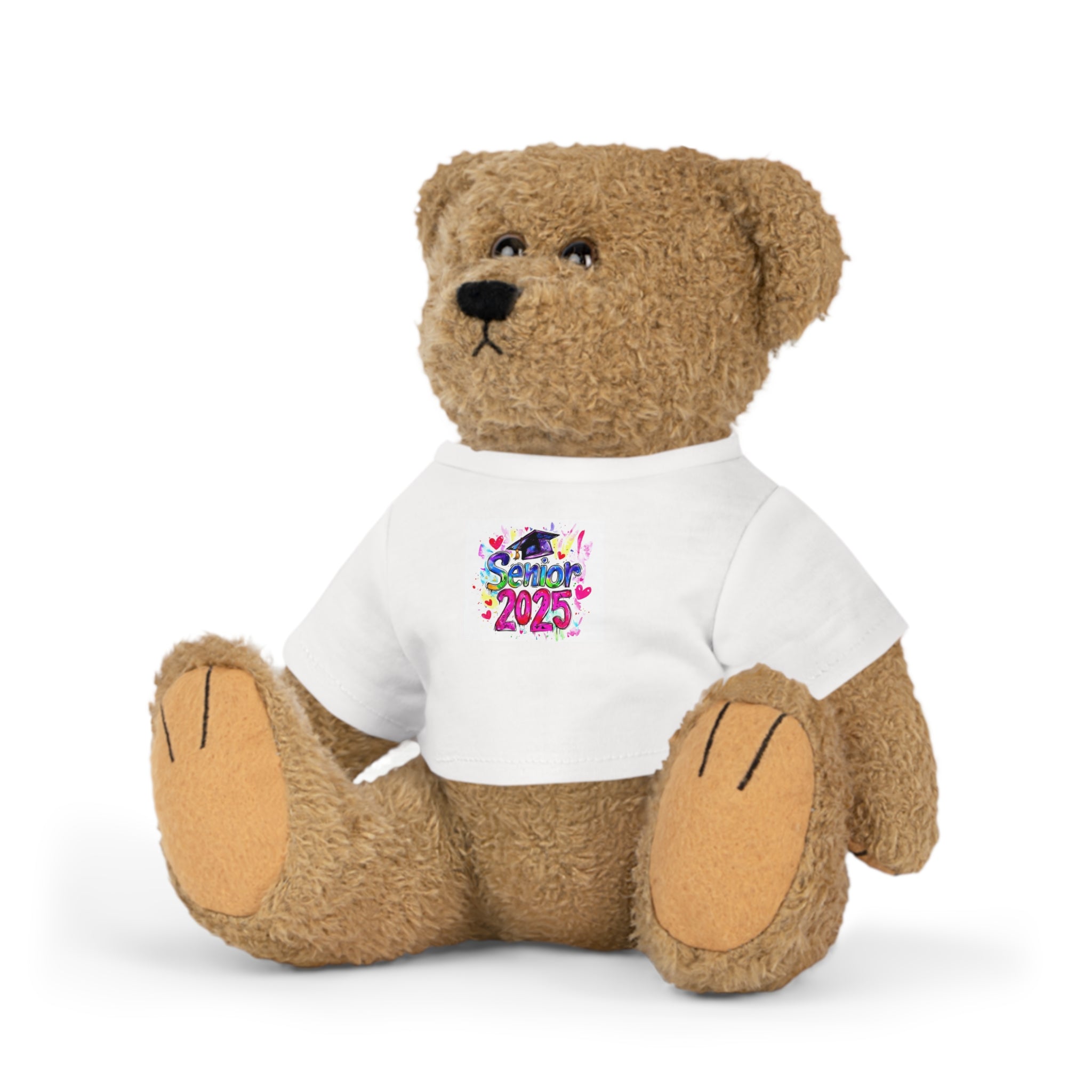 Graduation Plush Toy with Custom T-Shirt - 2025 Celebration Bear