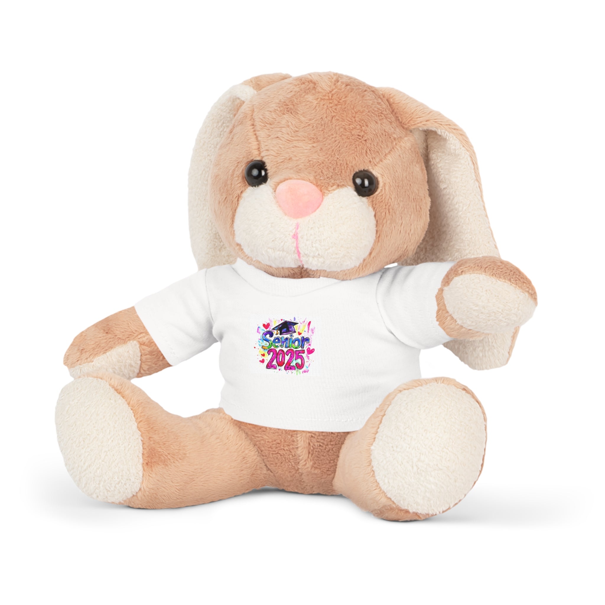 Graduation Plush Toy with Custom T-Shirt - 2025 Celebration Bear