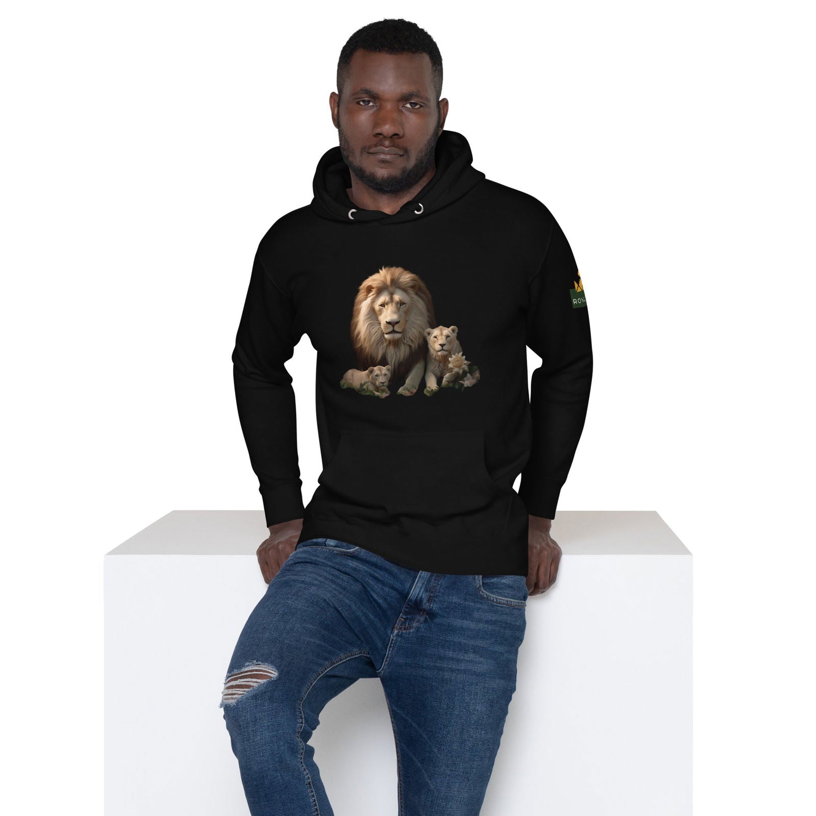 Be Brave, Be Bold, Be the Lion Unisex Hoodie - ShopEbonyMonique