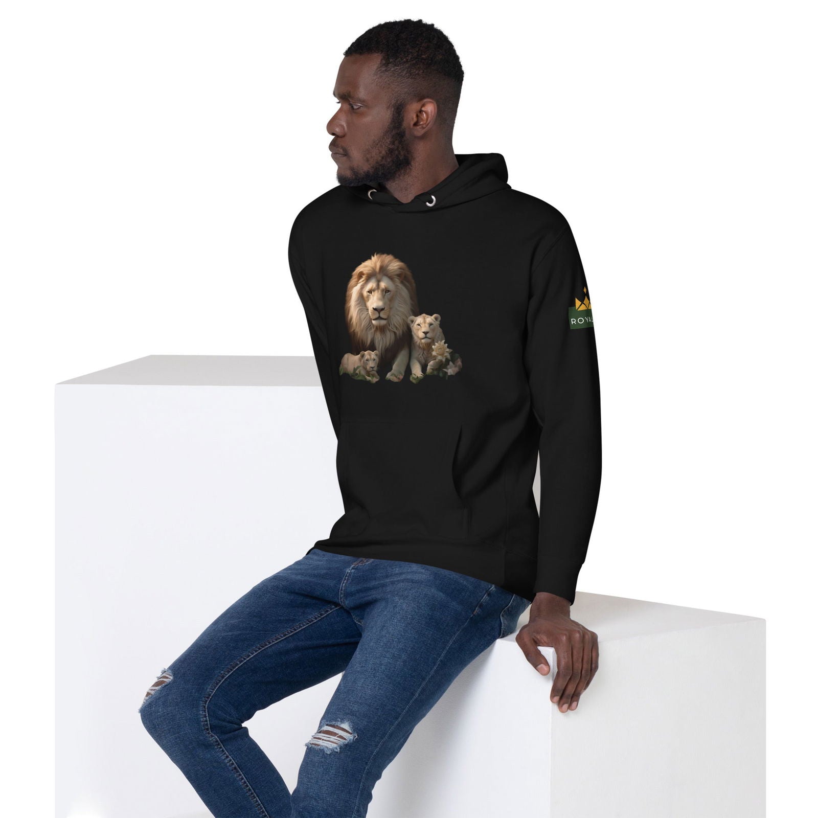 Be Brave, Be Bold, Be the Lion Unisex Hoodie - ShopEbonyMonique