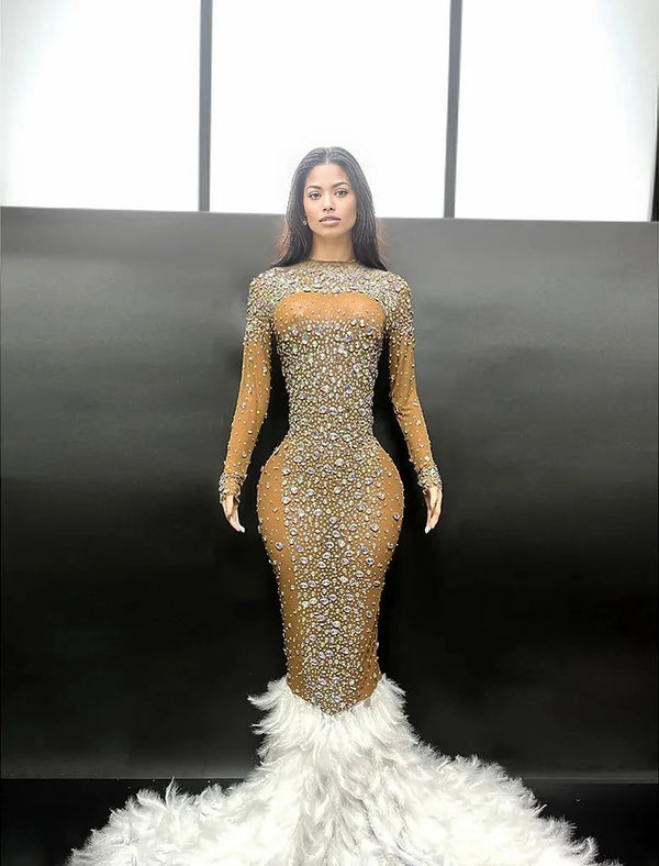 Sparkling  Me Transparent Feather Long Dress - ShopEbonyMonique